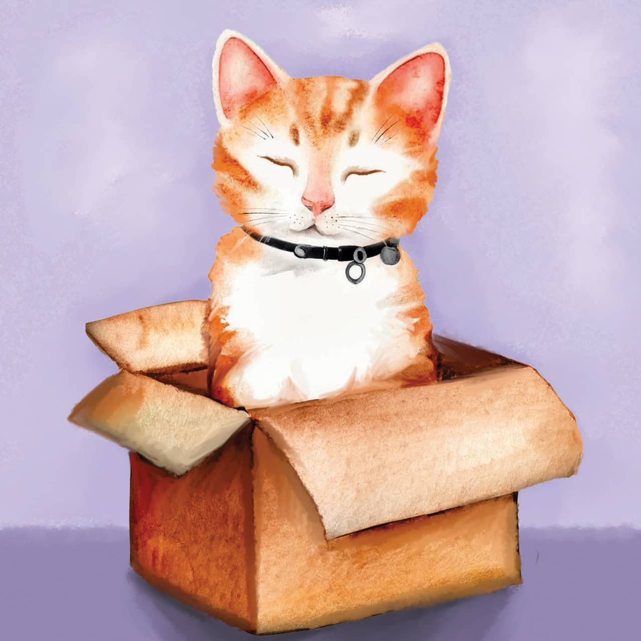 Cats Mini Canvas Painting Kit by Craft Smart®